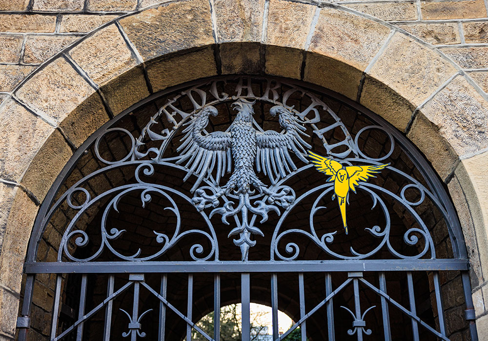 Eingangstür Grashaus Aachen