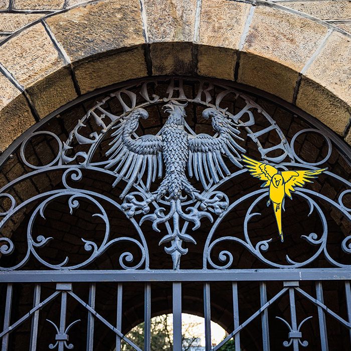 Grashaus Aachen von Vorne