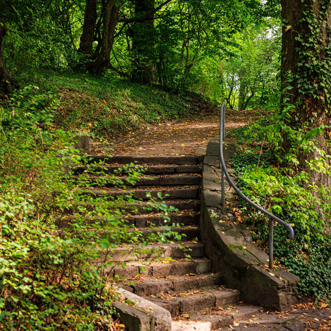 Steinerne Treppe führt durch dichten Wald auf den Lousberg hinauf