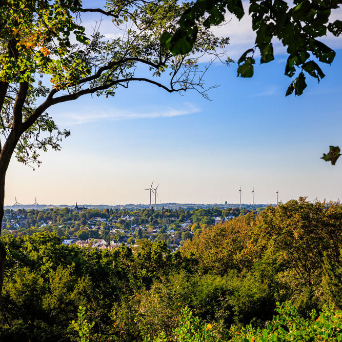Blick durch herbstliches Laub vom Lousberg über die Dächer Aachens bis zu Windrädern am Horizont