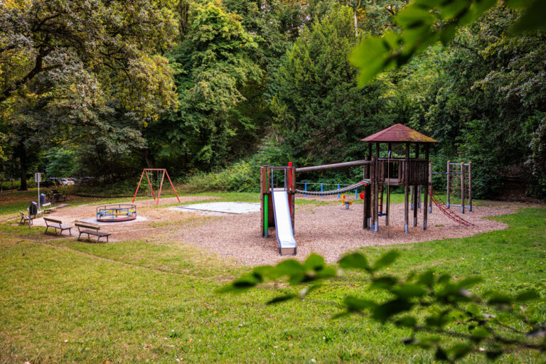 Spielplatz Buchenallee in Aachen mit Rutsche, Klettergerüst, Schaukel und Karussell, umgeben von dichtem Baumbestand